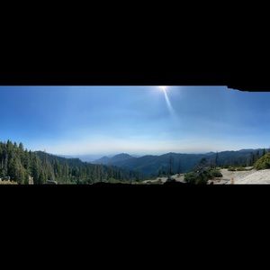 Meet your Posher, Marlene